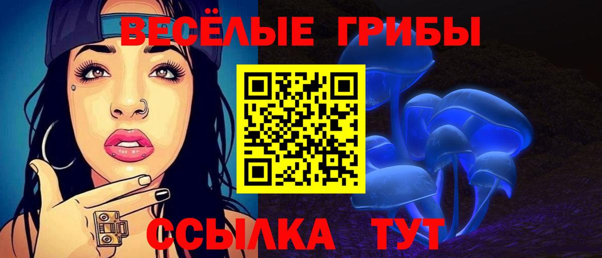 Галлюциногенные грибы GOLDEN TEACHER Татарск