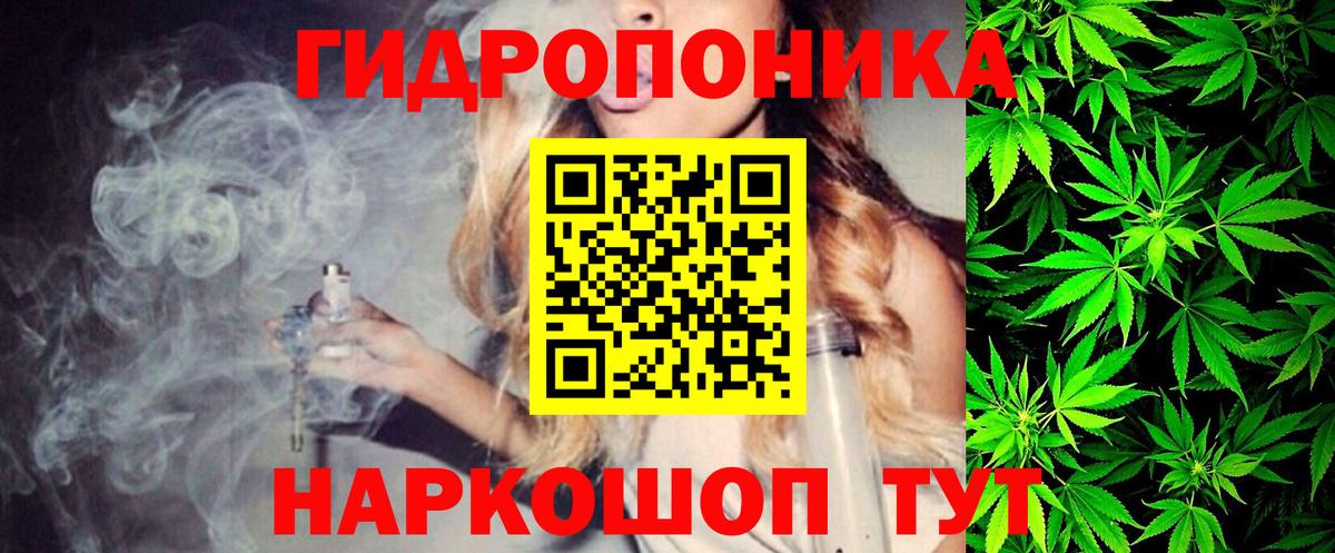 Бошки Шишки семена Татарск